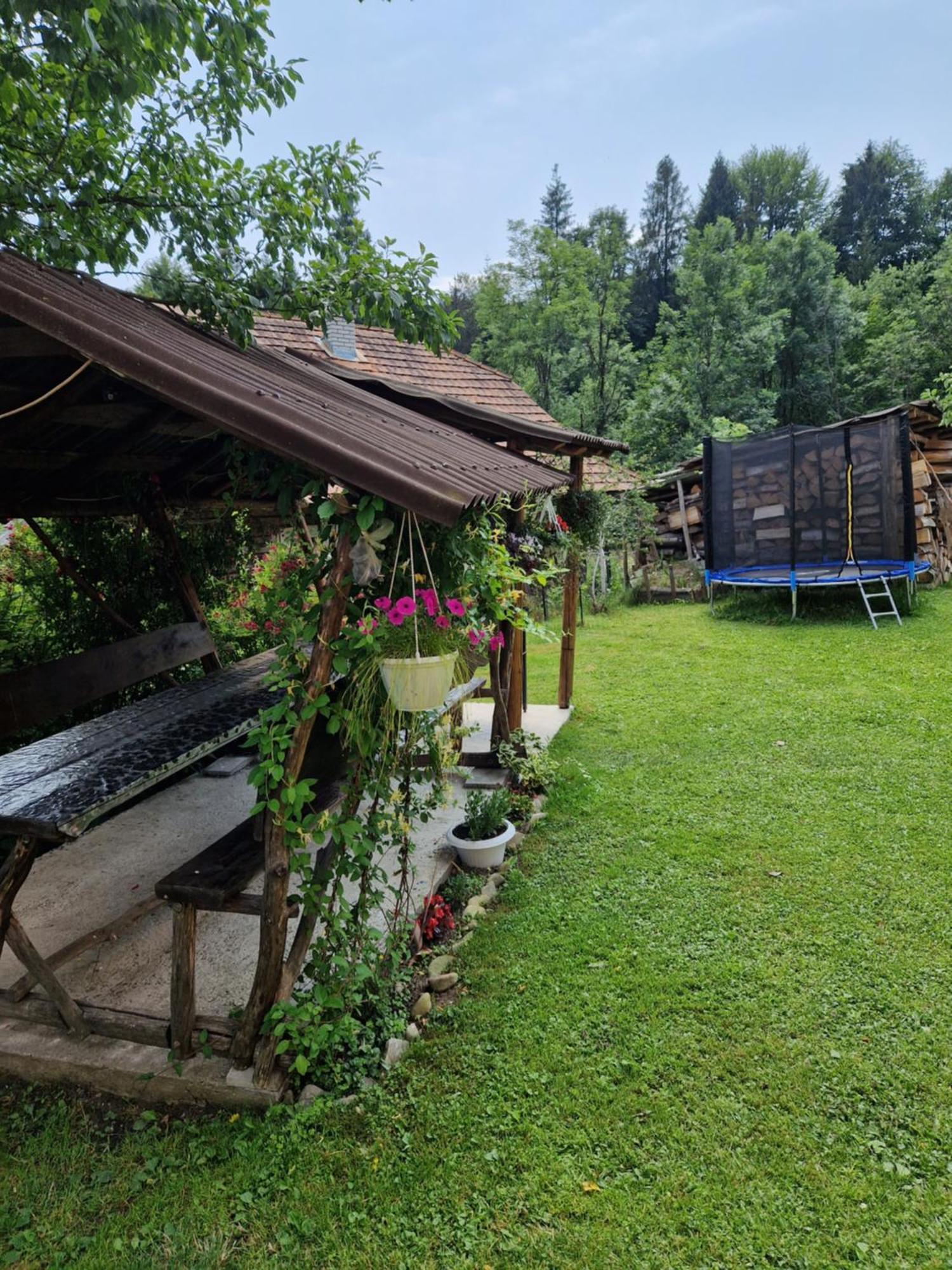 У Дядька Pensionat Pilipets Eksteriør billede